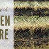 Legacy of Linen Fibre