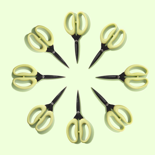 sohmo go to scissors 4