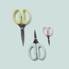 sohmo go to scissors 10