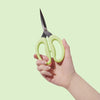 sohmo go to scissors 12