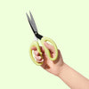 sohmo go to scissors 5